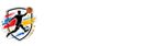 蜘蛛直播